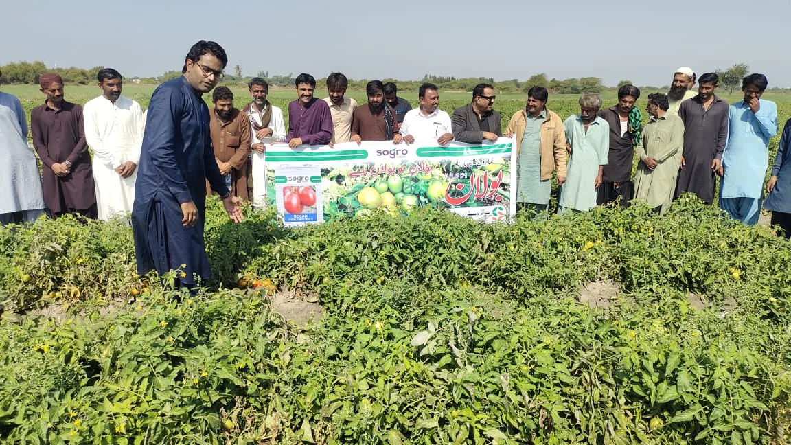 Sogro Research and Development 4